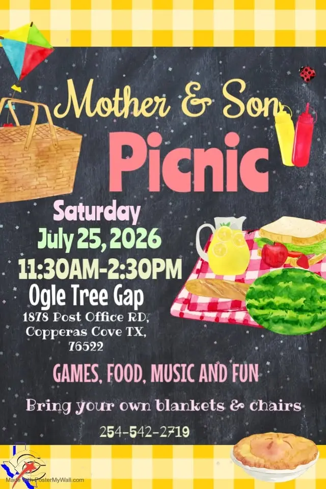 Mother Son Picnic