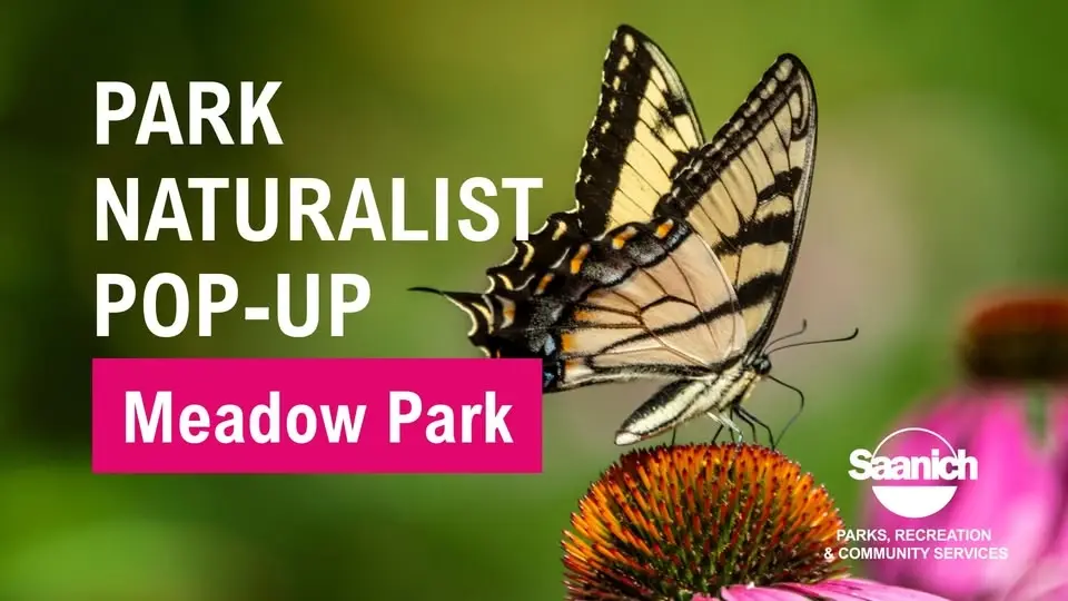 Park Naturalist Pop-up and Nature Walk - Meadow Park