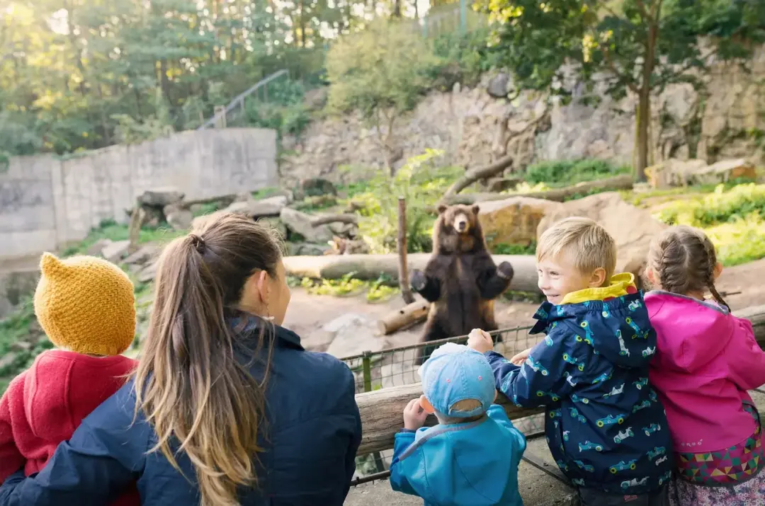 Den dětí v Zoo Děčín – vstup za 10 Kč