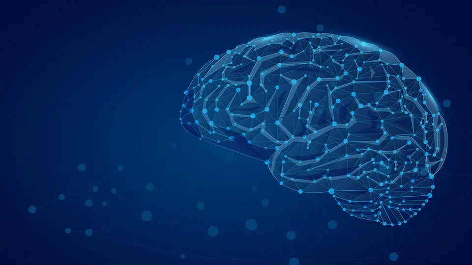 Tools for a Healthy Brain