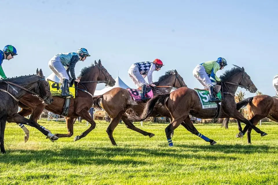 105th Running of the Far Hills Race Meeting