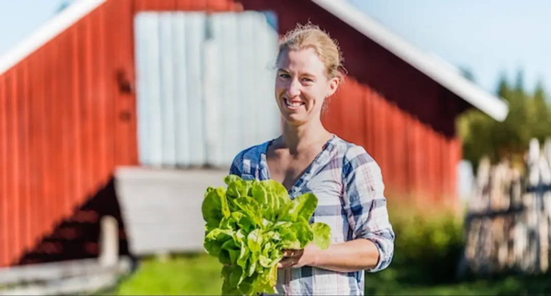 Skördefest Jämtland Härjedalen
