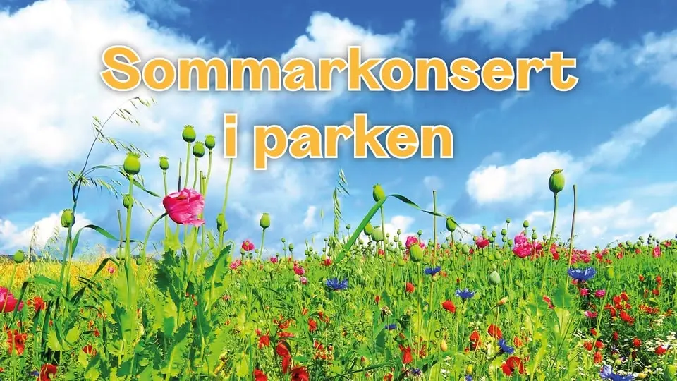 Sommarkonsert i parken