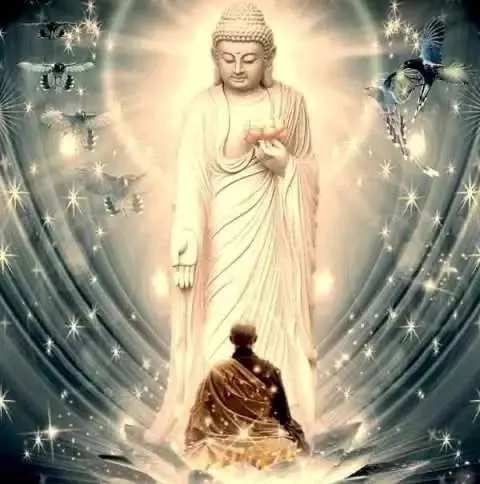 lễ hội hoa đăng vía đức phật di đà
