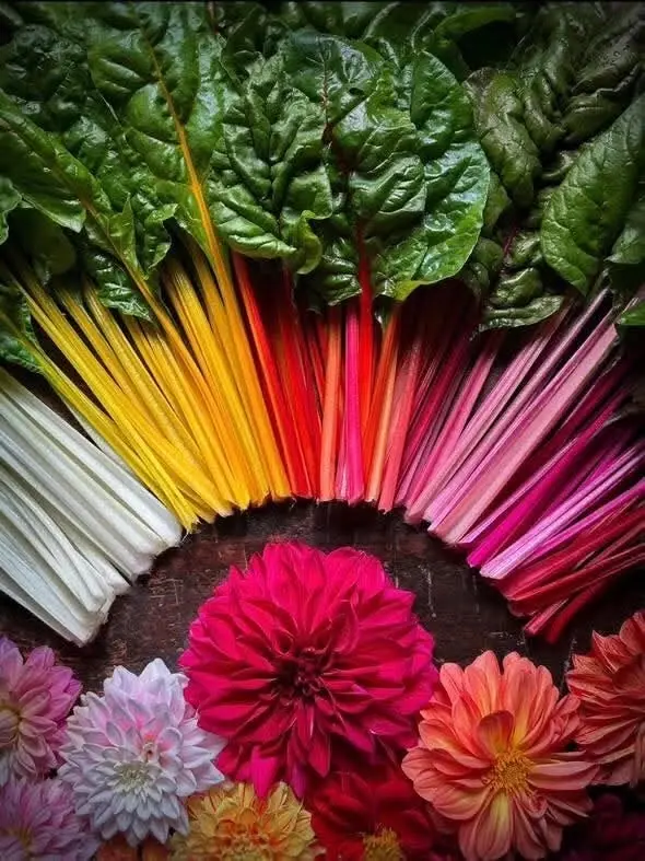 London Urban Farmers Tour