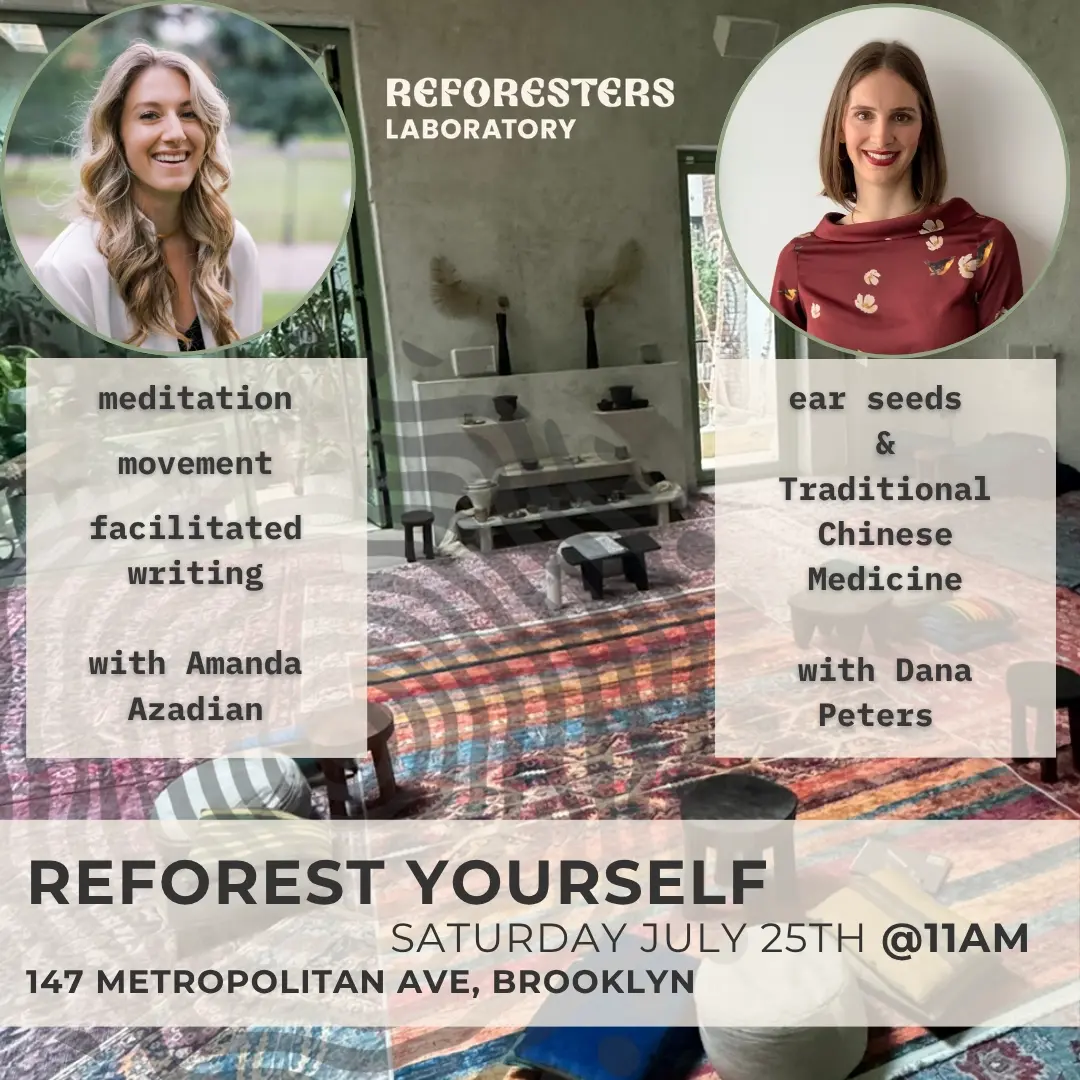 Reforest Yourself