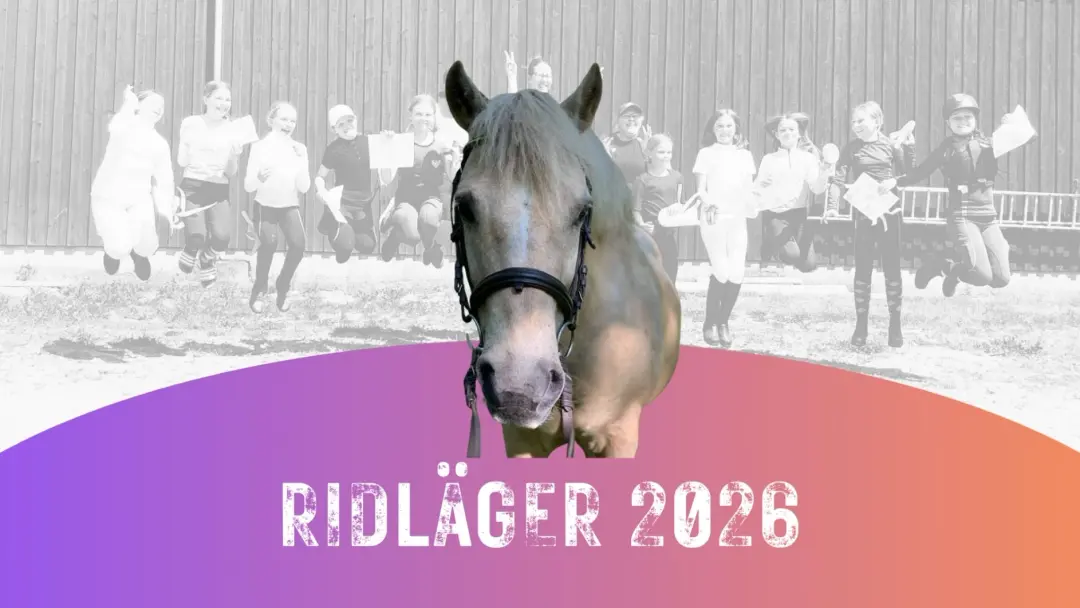Ridläger