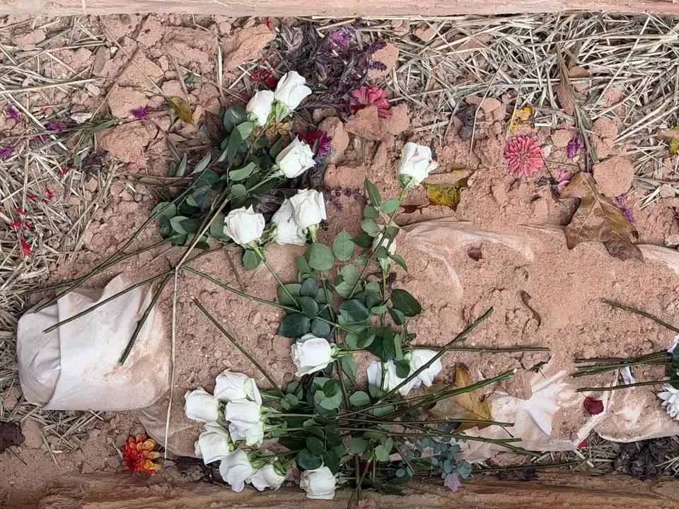 All the Tea on Natural Burial: A Community Conversation