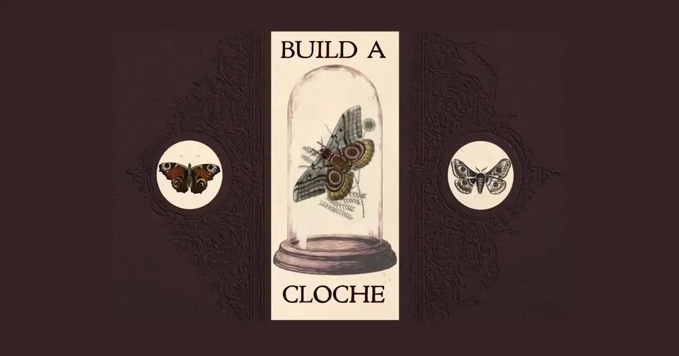 September Entomology - Cloche Workshop