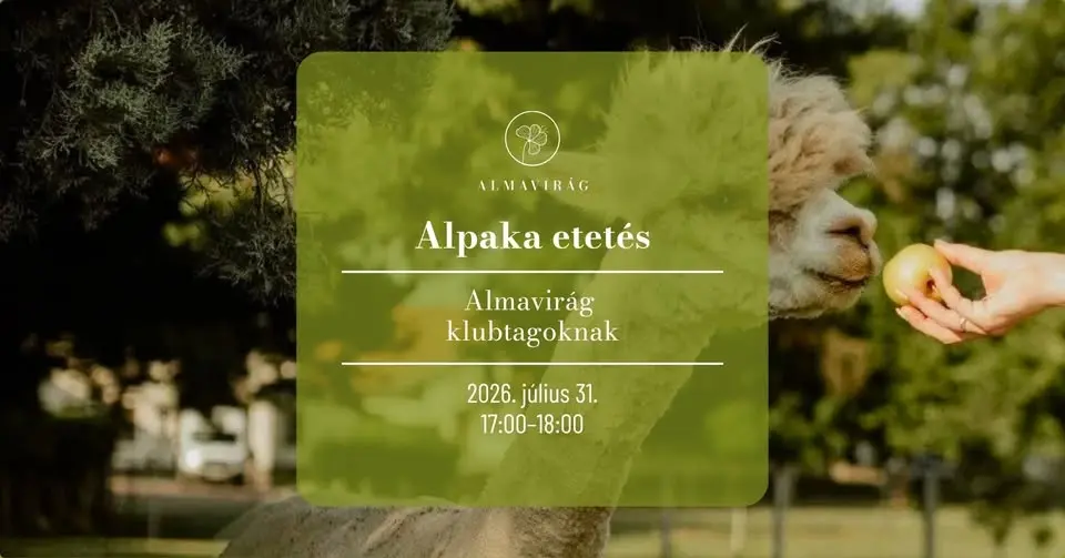 🦙 Alpaka etetés az Almavirágban