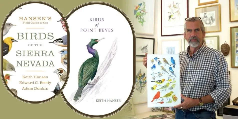 Author: Keith Hansen, The Love, Joy and Art of Birding