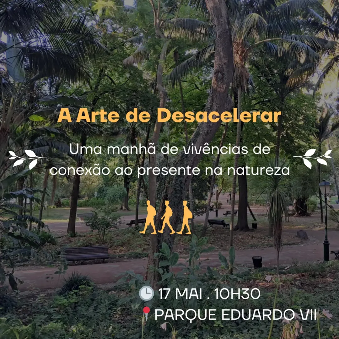 A Arte de Desacelerar