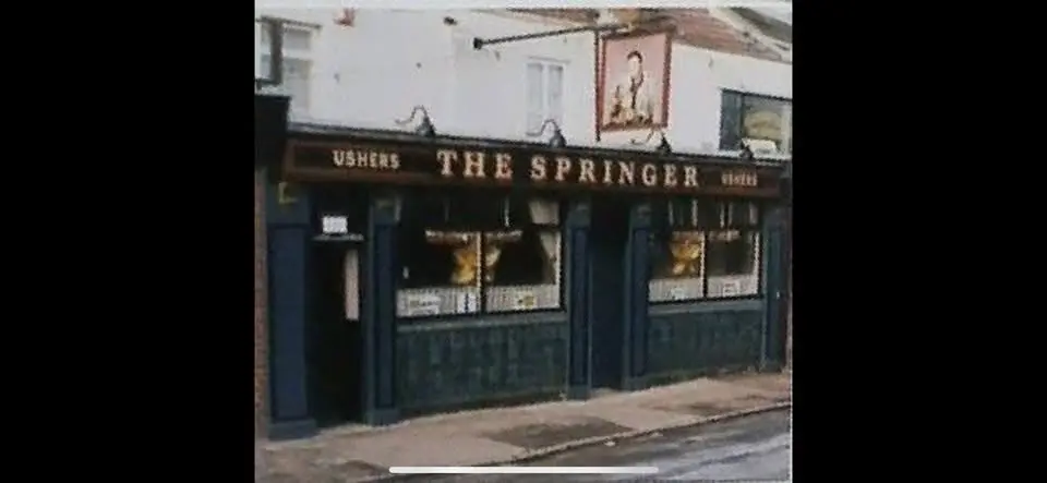 The Springer Reunion 