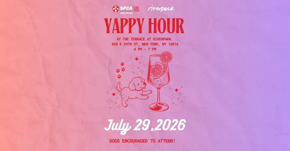 Yappy Hour on the Terrace with SPCA International & Riverpark