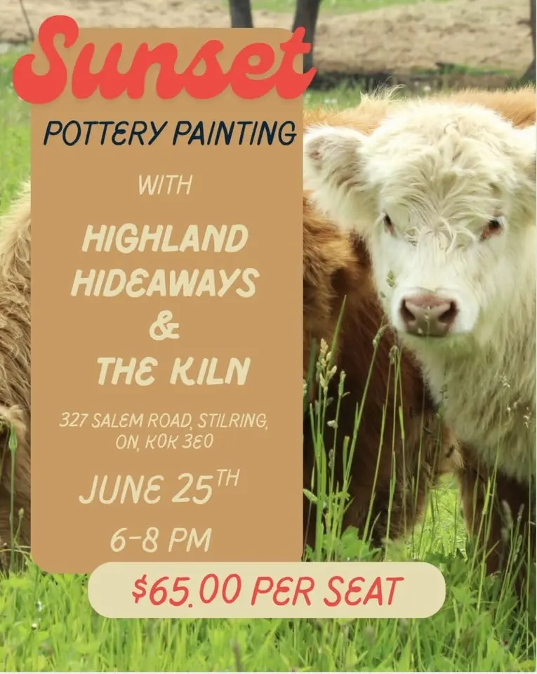Sunset Pottery Painting with Highland Cows