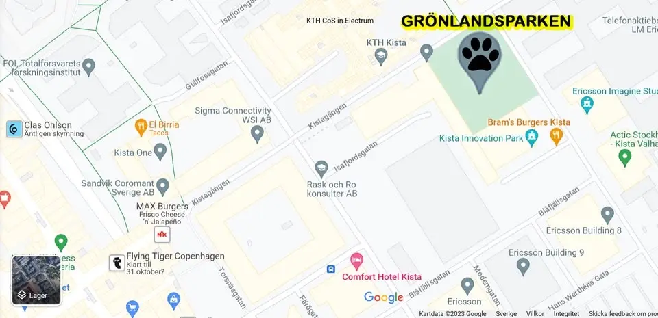 Gruppträning assistanshund