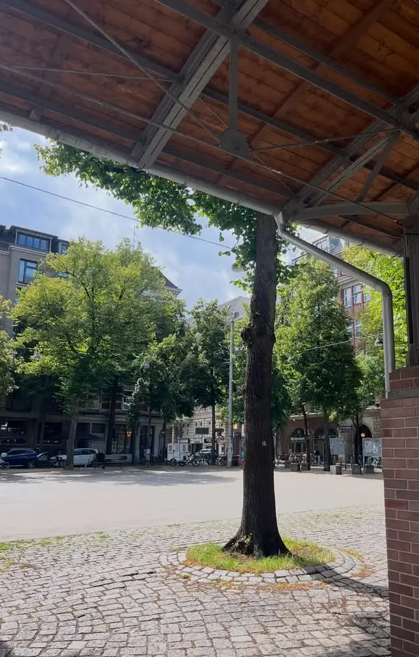 Flohmarkt Lange Reihe