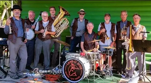 Land O'Dixie Rented Mules Band