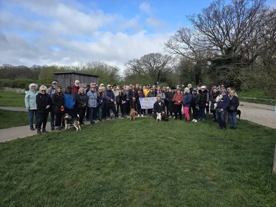 Belfairs Woods - Group Walk