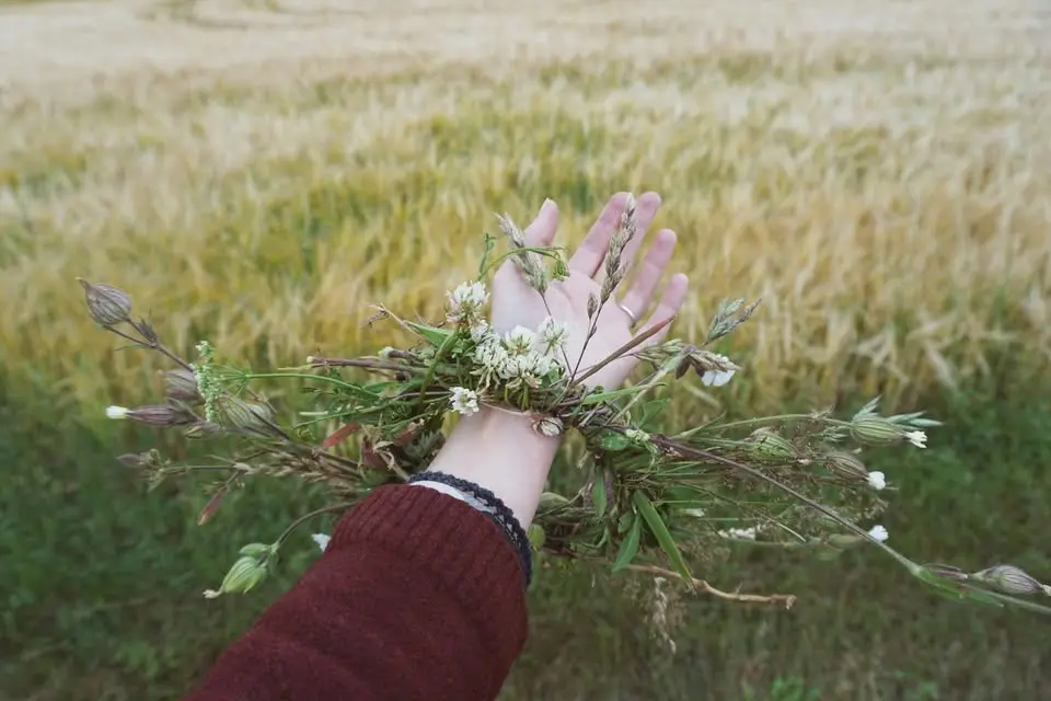 Litha/Summer Solstice and Divination Practices