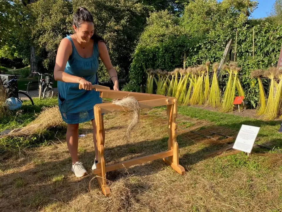 Linkveld
