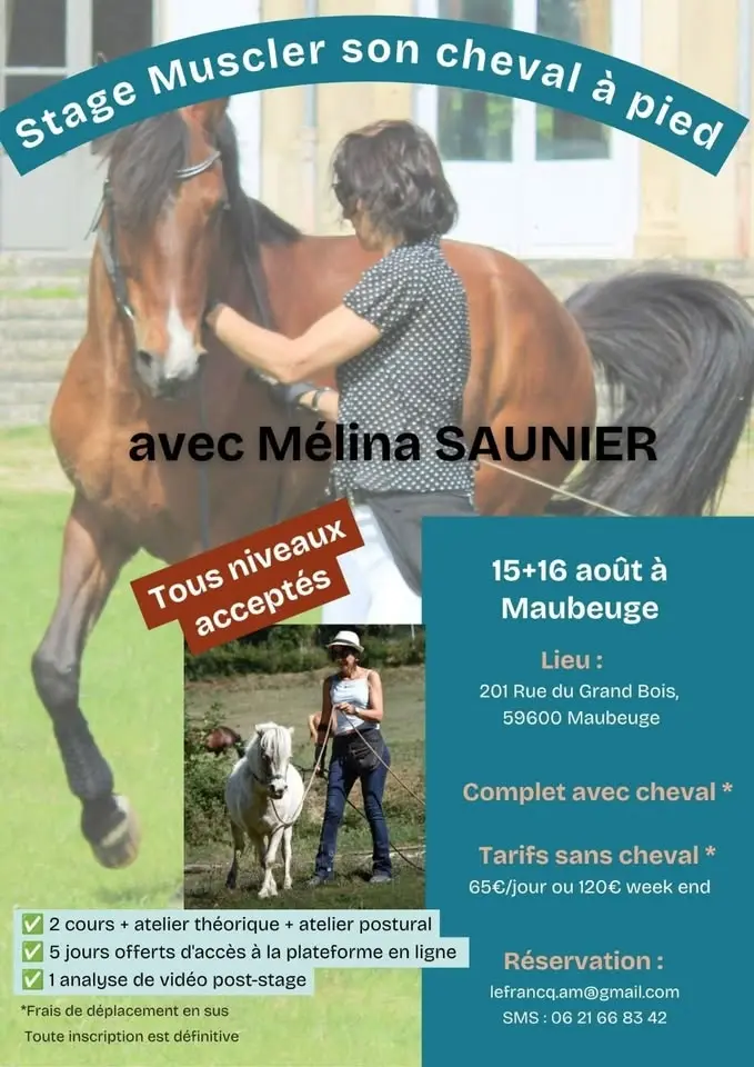 stage MUSCLER SON CHEVAL À PIED