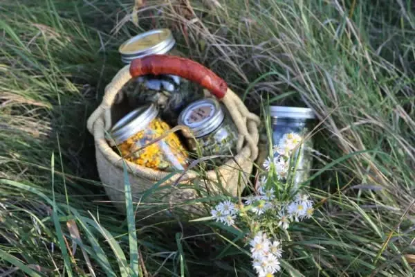 Sweet Immunity Herb Walk