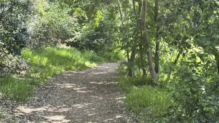 Funtastic Hike at Culver City and Kenneth Hahn Park. Moderate Paced!