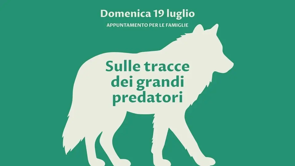 Sulle tracce dei grandi predatori