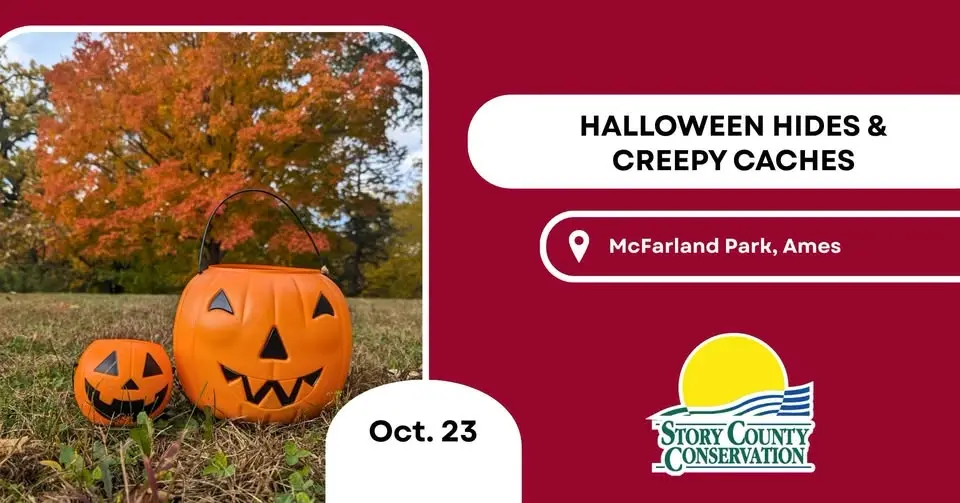 Halloween Hides & Creepy Caches