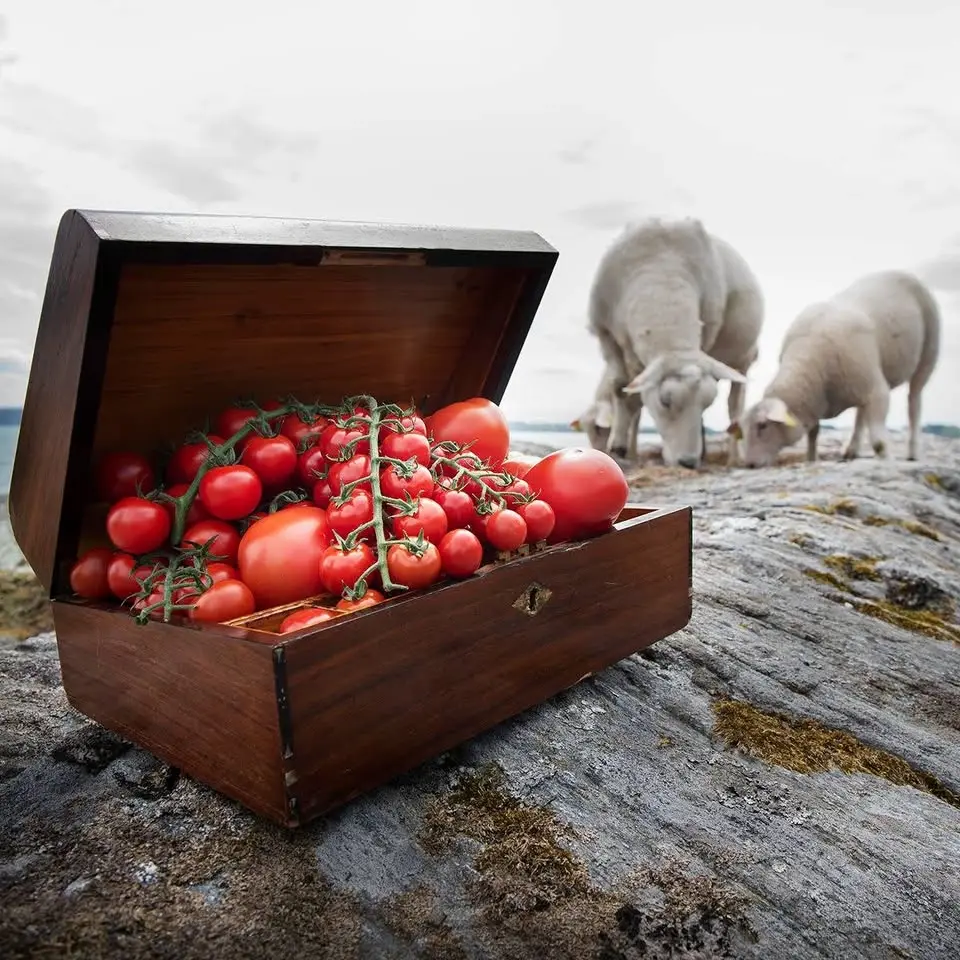 Tomatfestivalen 2026