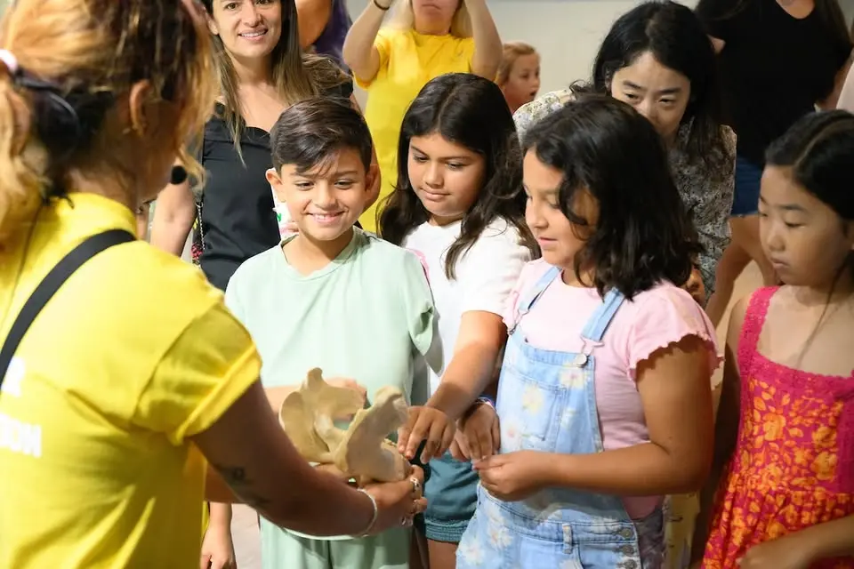 Mia's Summer Shell-A-Bration