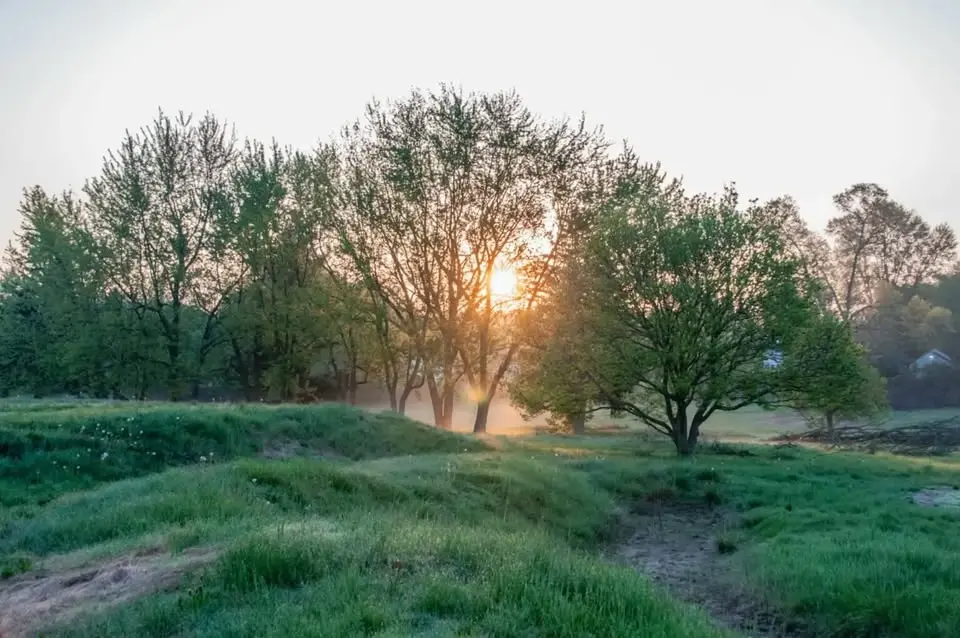 Summer Evening Naturalist Hike