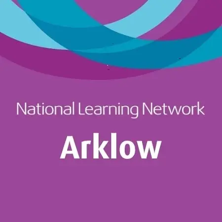 National Learning Network Arklow Vs Bray,  5 a side in aid of Arklow for Eimear