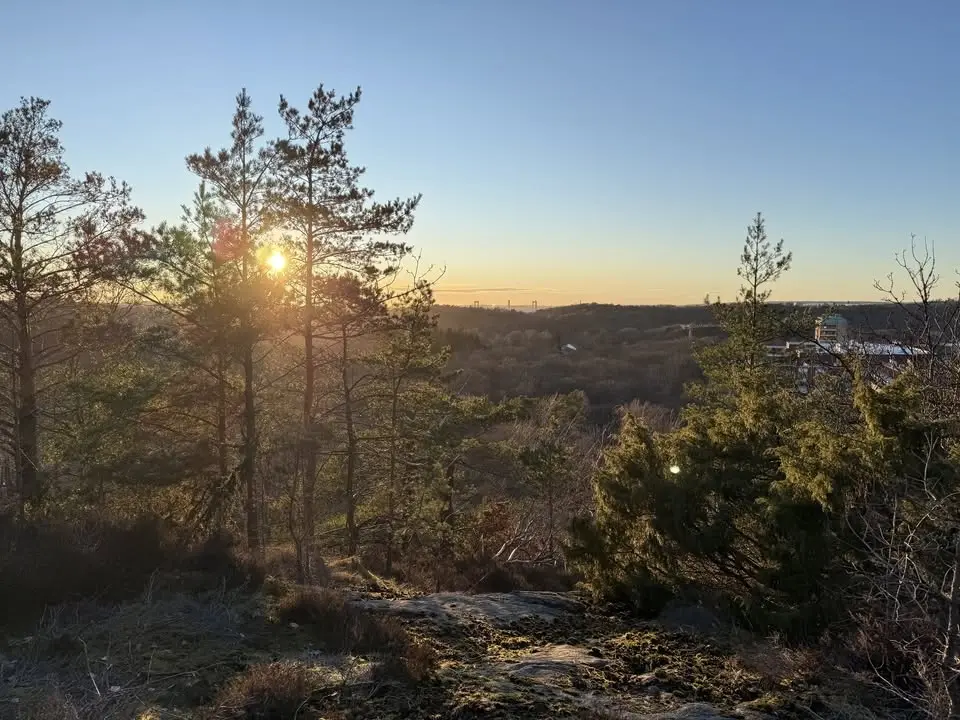 Trailtorsdag