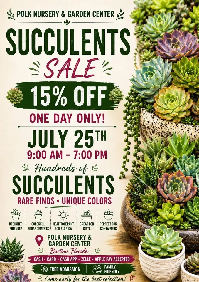 Succulent Restock