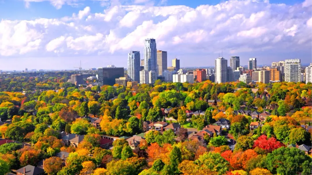 Saturday Park, Trail and Neighbourhood Walk! (Dinner and Live Music Party after)