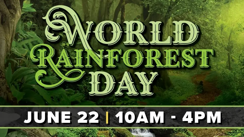 World Rainforest Day