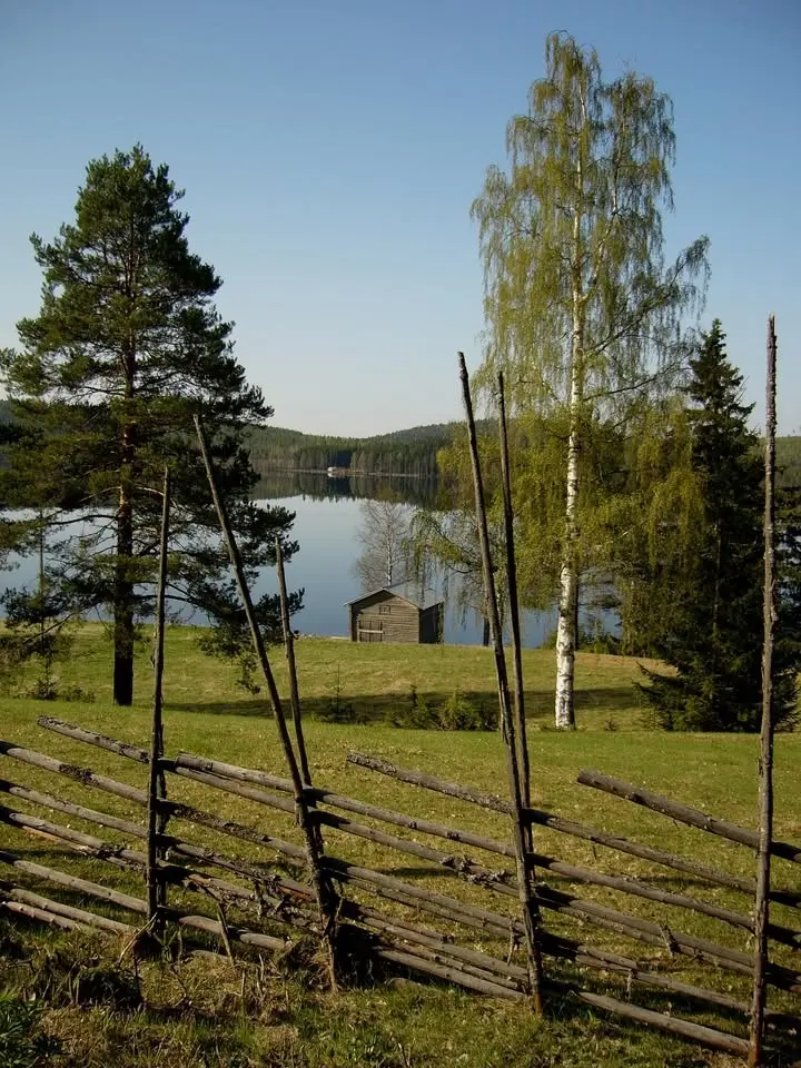 Skogens Dag