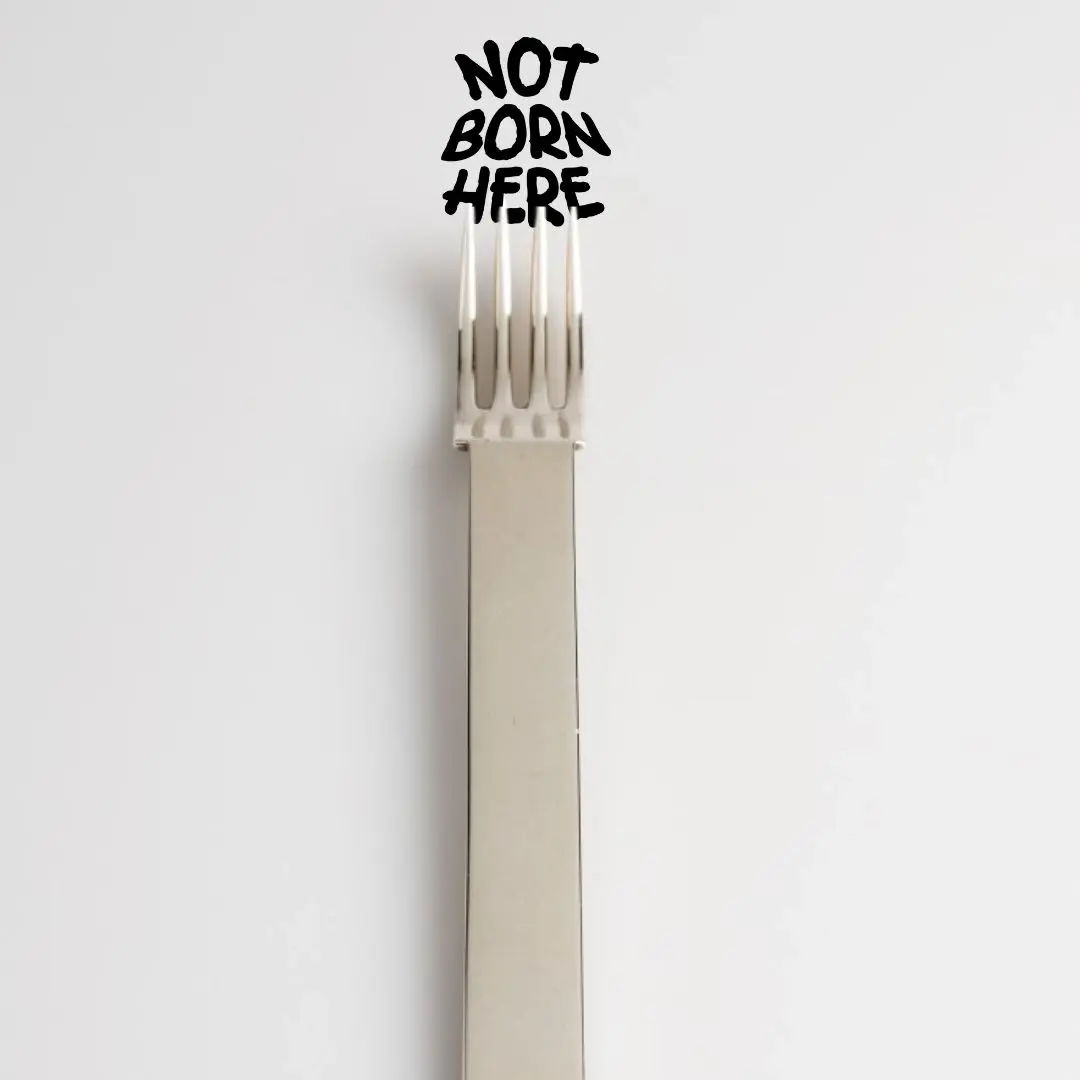 Not Born Here: Tour & Dinner @ the MAK