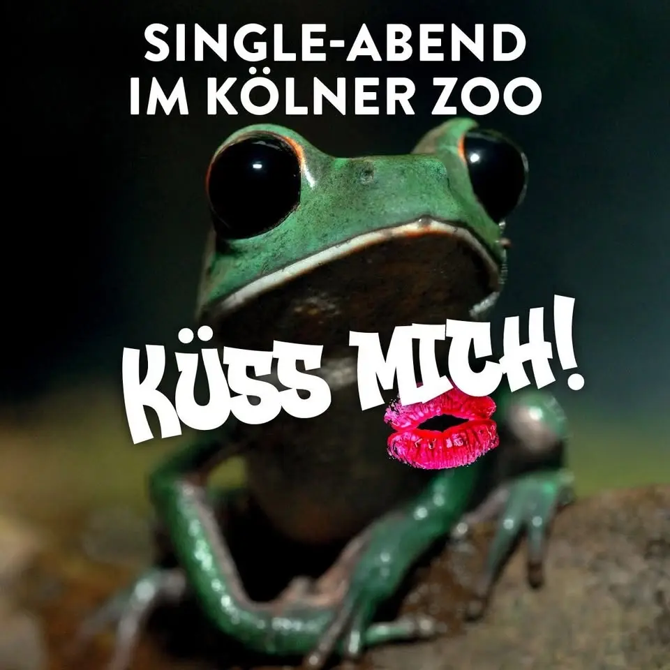 Single Abend im Kölner Zoo