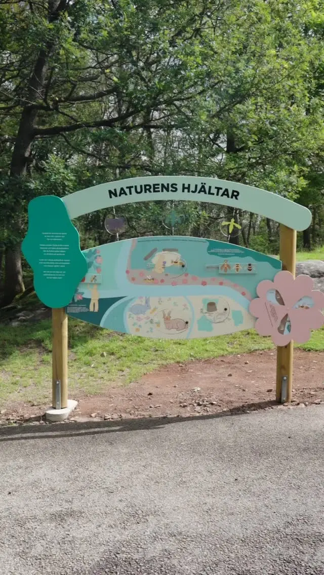 Naturens Hjältar – Pollinatörsaktivitet på Barnens zoo