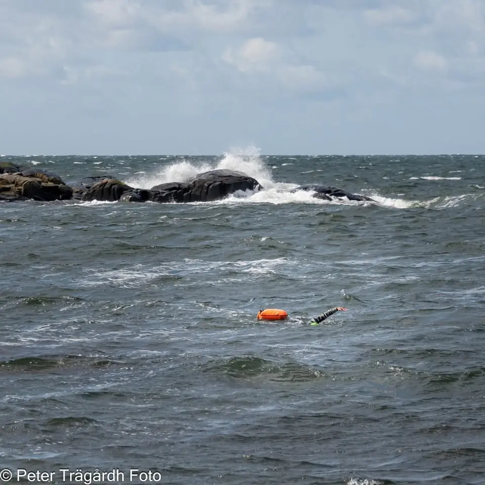 Torekov open water