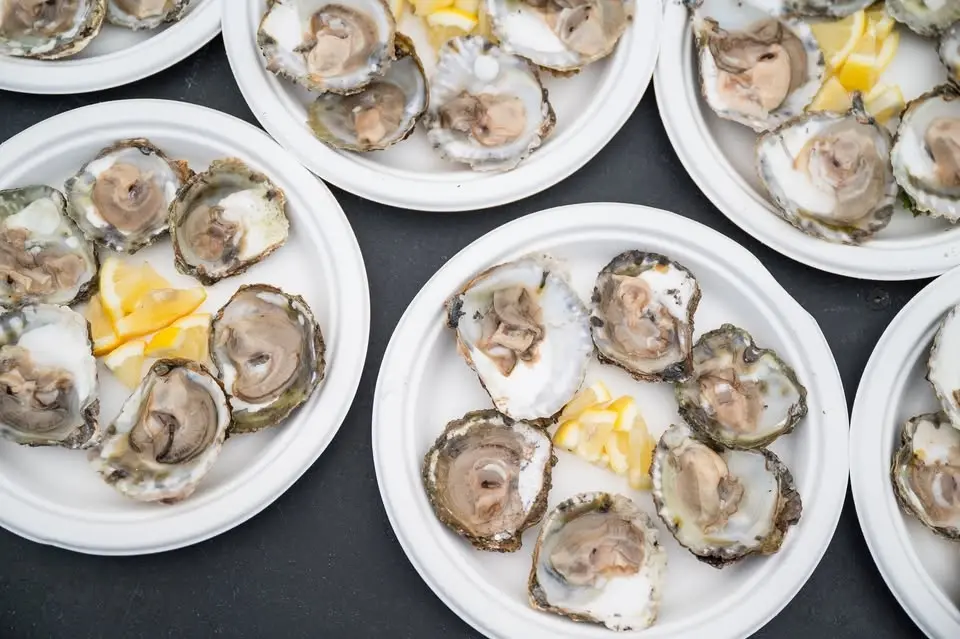 Falmouth Oyster Festival