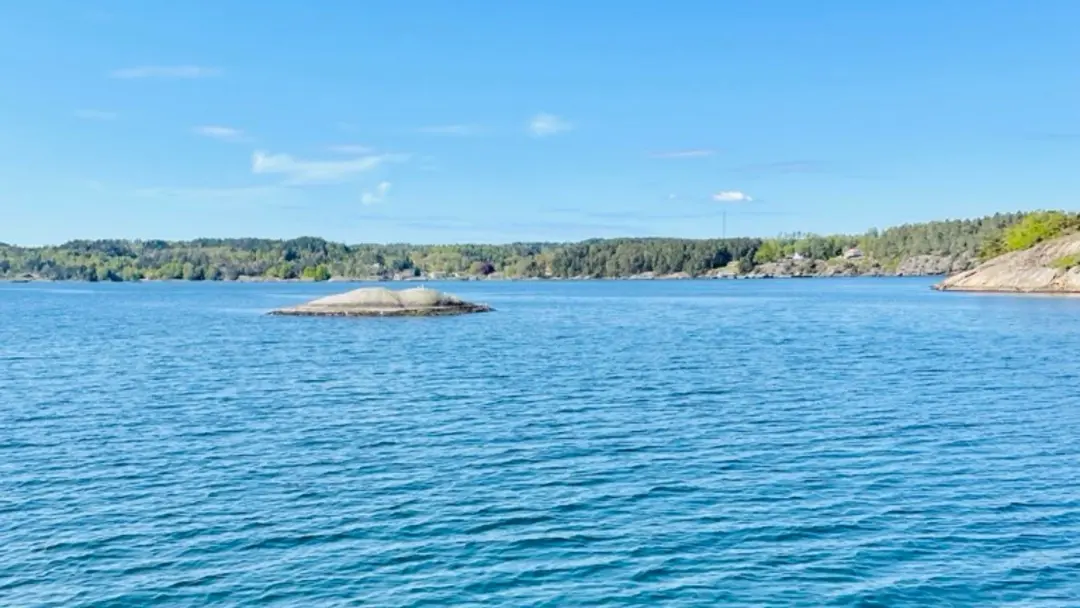 Röva runt