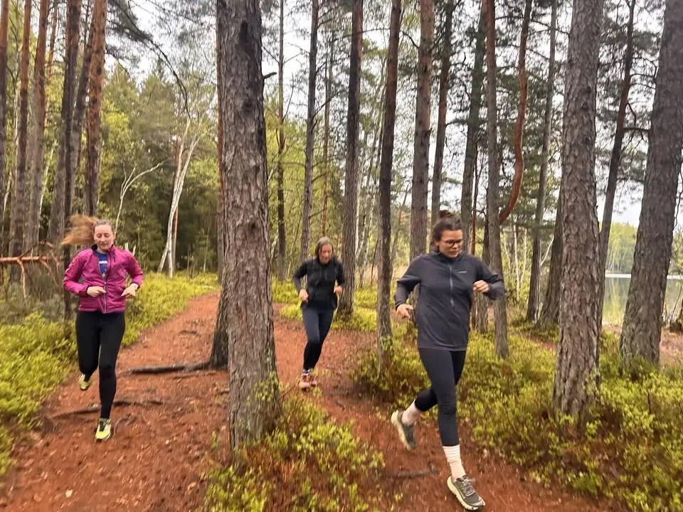STIG STHLM - Hellasgården