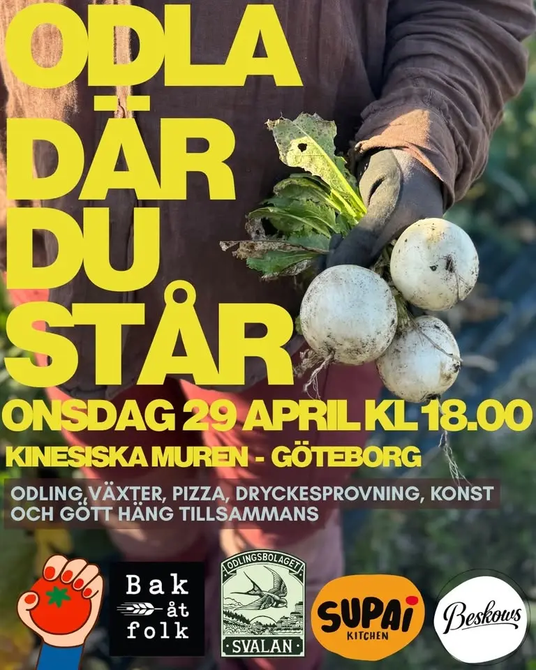 ODLA DÄR DU STÅR