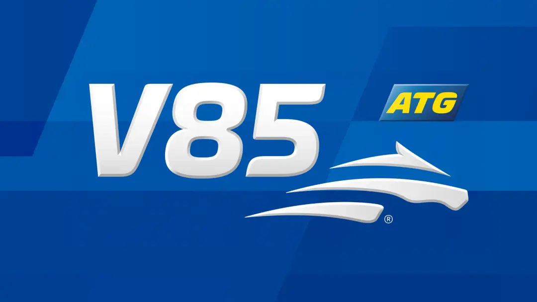 STL Sommartrav med V85®