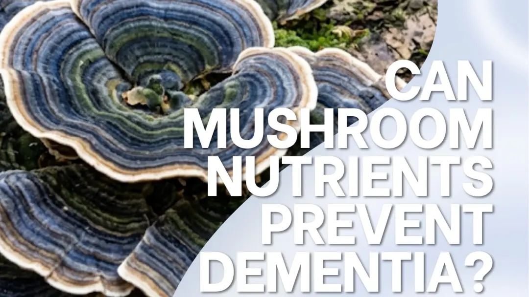 Can the mushroom-derived nutrient ergothioneine prevent dementia?