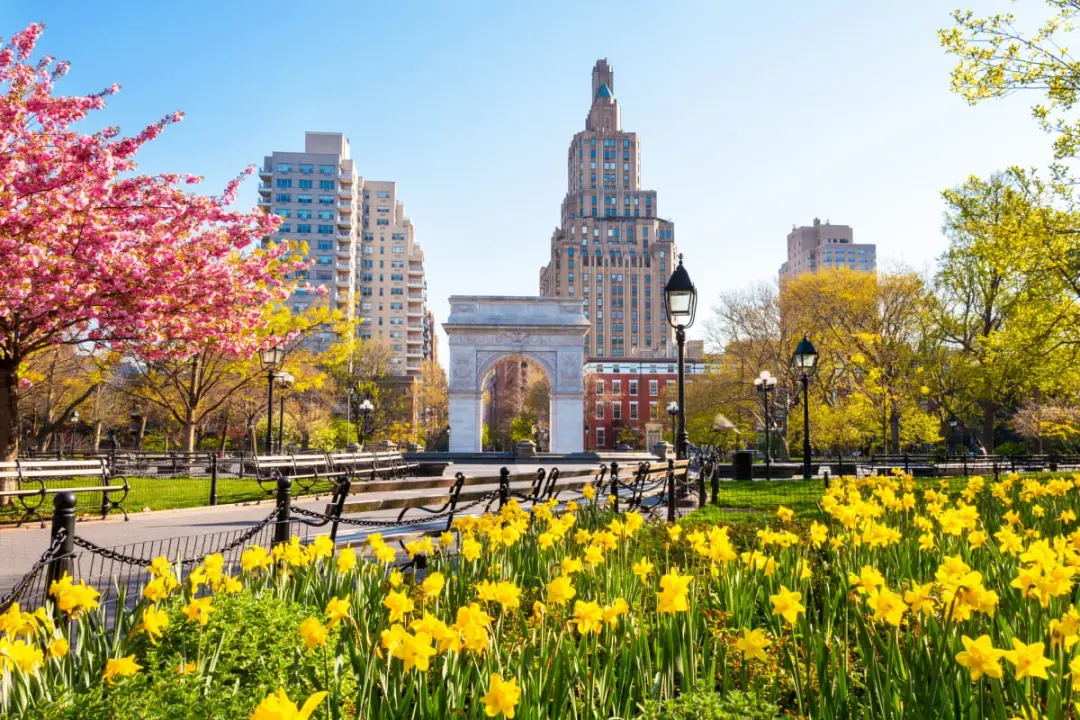 Abundance NY Spring Happy Hour & Election Preview